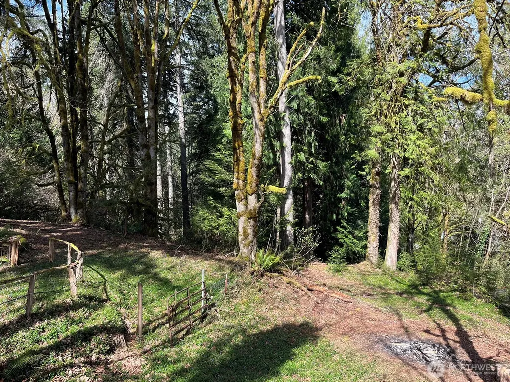 4806 Sunrise Beach Road NW Olympia WA 98502