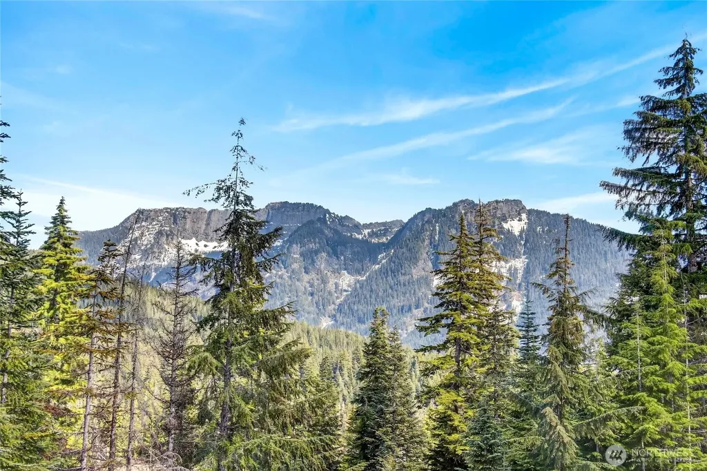 60 Snoqualmie Village Drive Snoqualmie Pass WA 98068