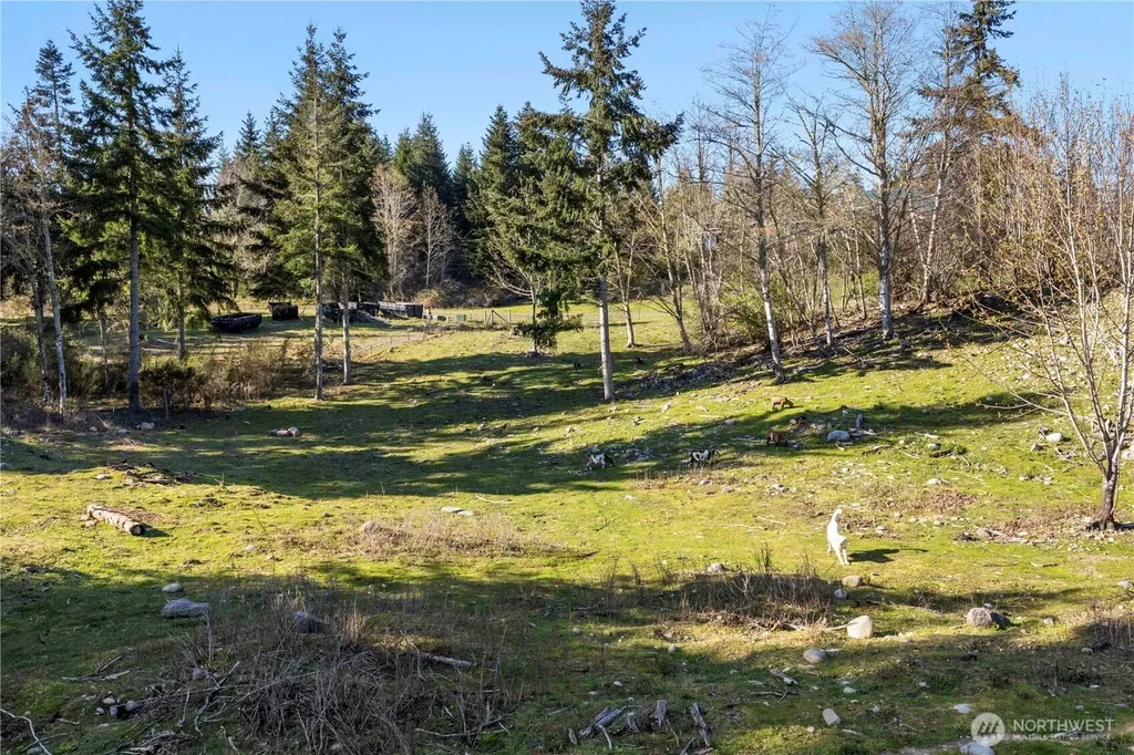 13113 Algyer Road SE Rainier WA 98576