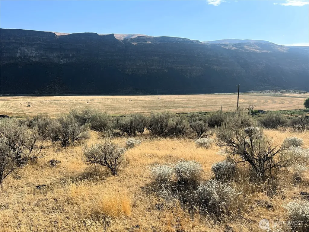 131 Wagon Road Palisades WA 98845