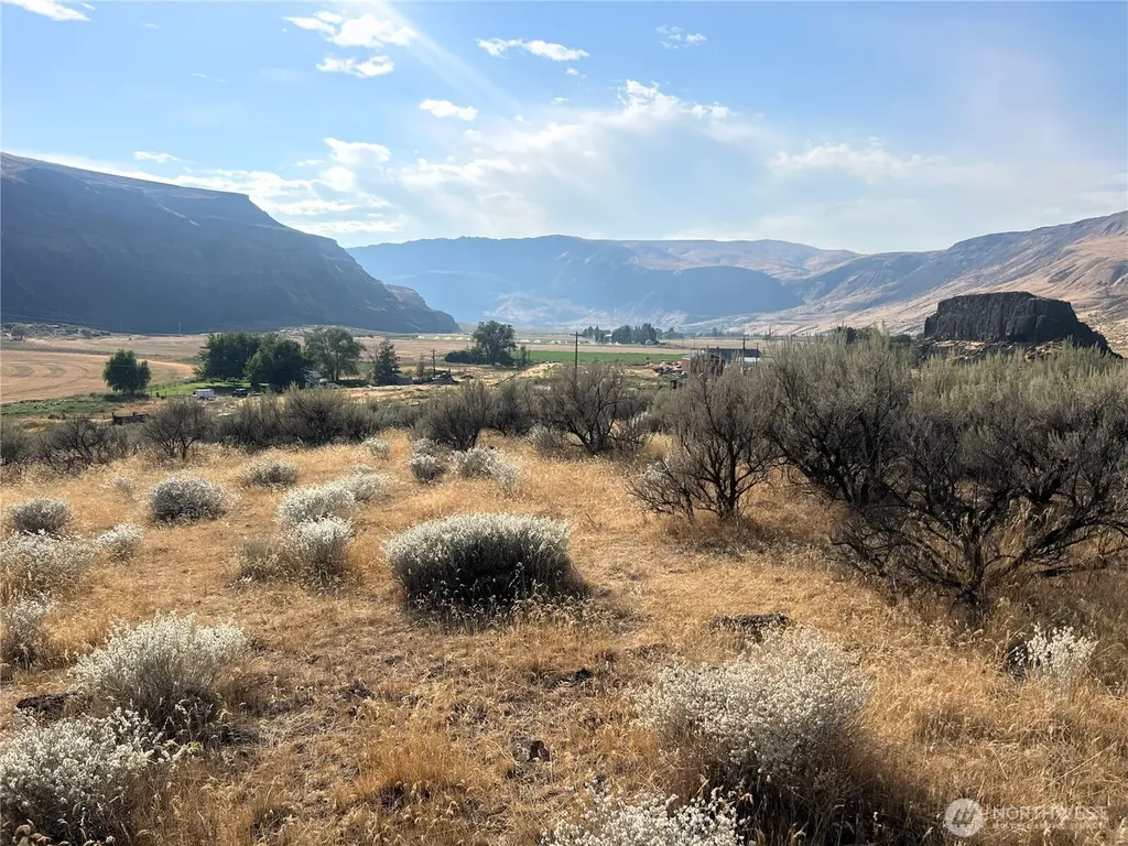 131 Wagon Road Palisades WA 98845
