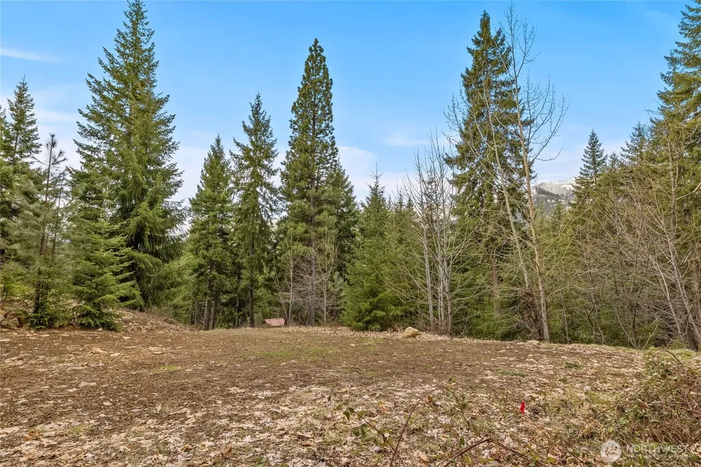 33 Lakeside Court Ronald WA 98940