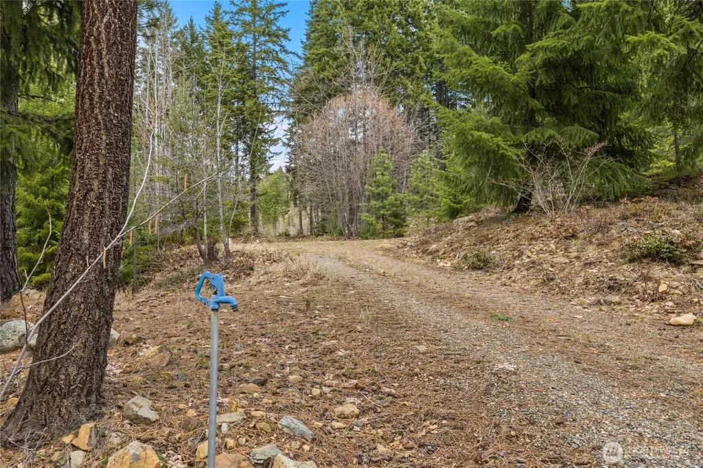 33 Lakeside Court Ronald WA 98940