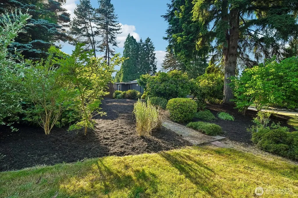 15825 SE 116th Street Renton WA 98059