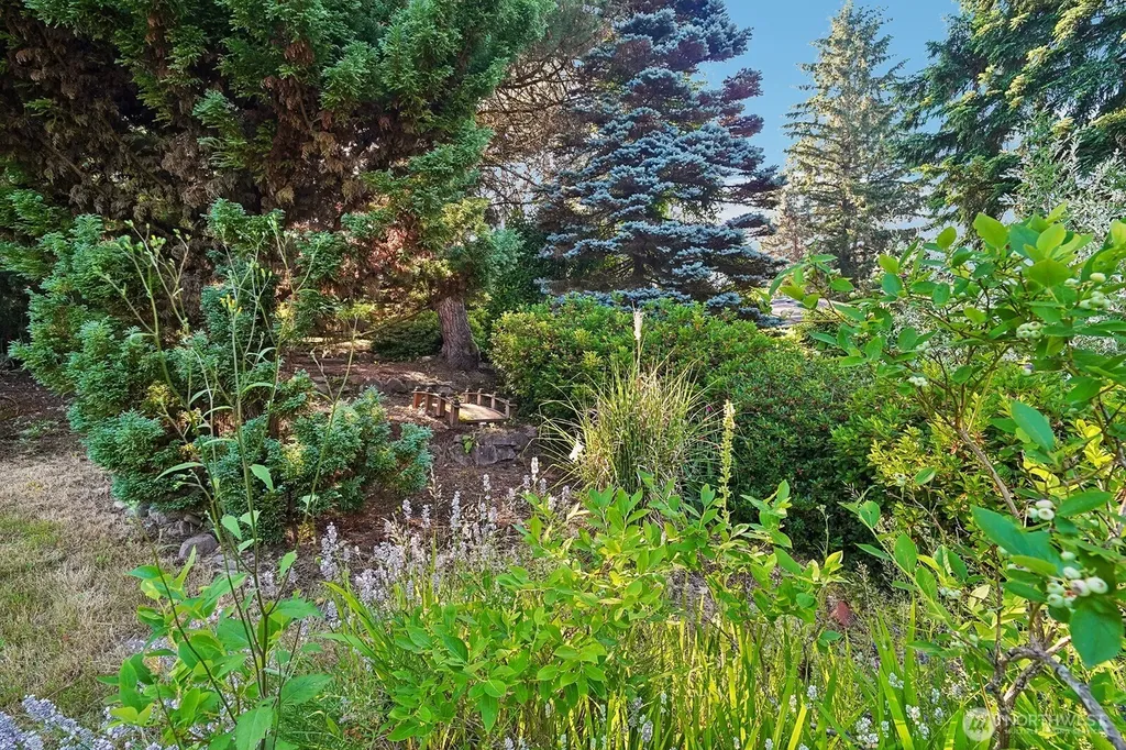 15825 SE 116th Street Renton WA 98059