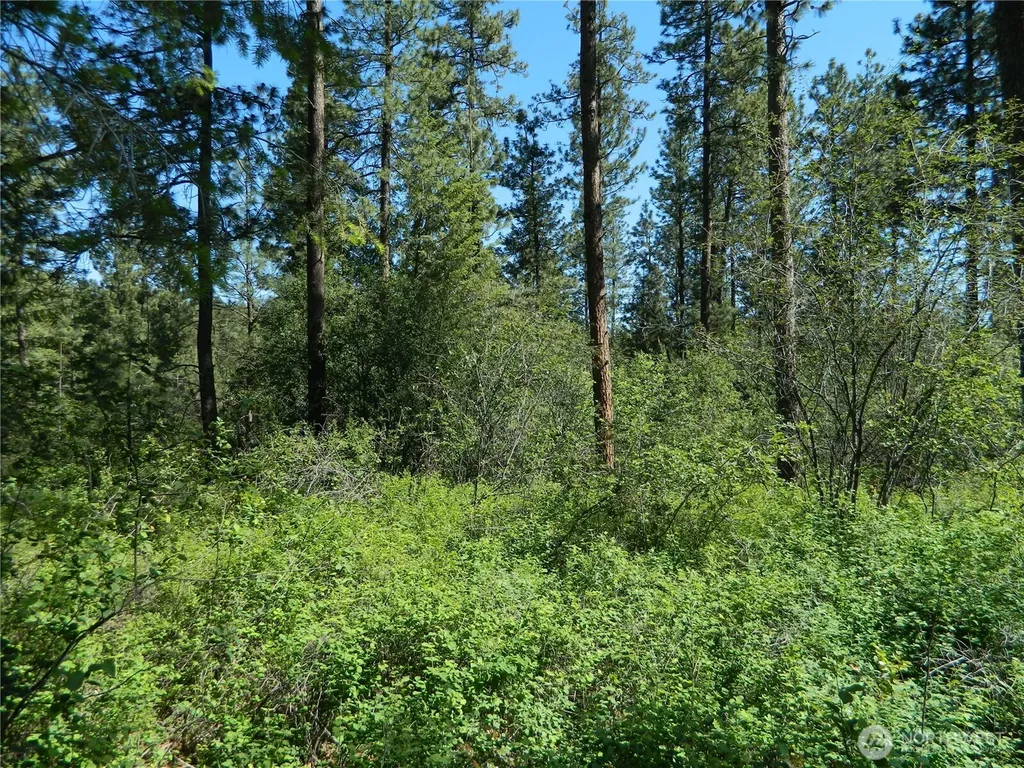 111 Tbd Murphy Ranch Road Tonasket WA 98855