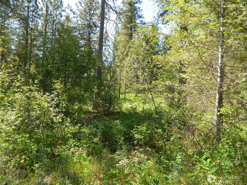 111 Tbd Murphy Ranch Road Tonasket WA 98855