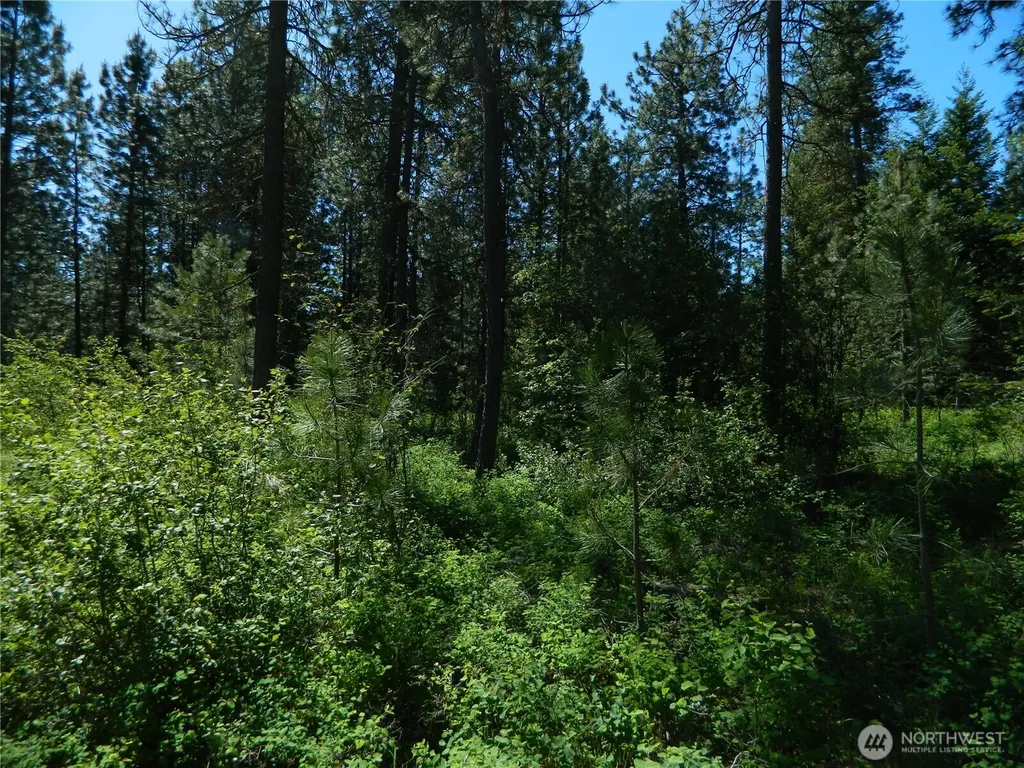 111 Tbd Murphy Ranch Road Tonasket WA 98855