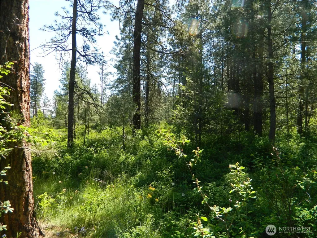111 Tbd Murphy Ranch Road Tonasket WA 98855