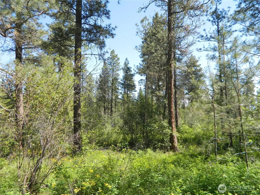 111 Tbd Murphy Ranch Road Tonasket WA 98855