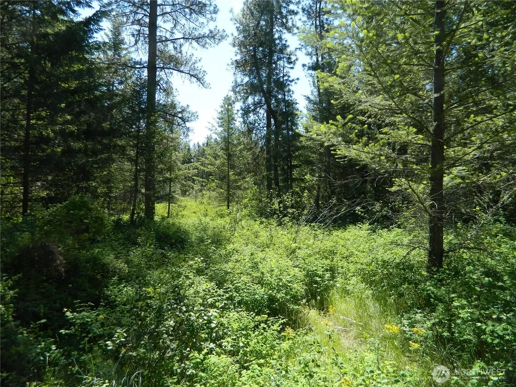 111 Tbd Murphy Ranch Road Tonasket WA 98855