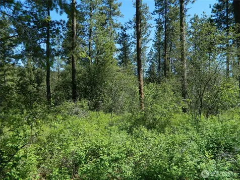 111 Tbd Murphy Ranch Road Tonasket WA 98855