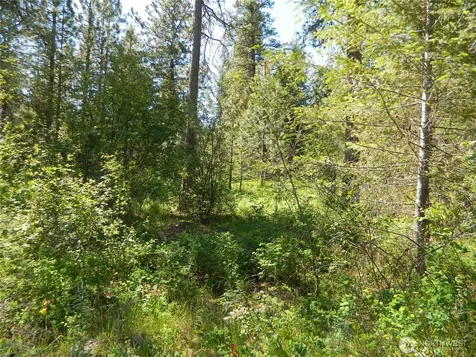 111 Tbd Murphy Ranch Road Tonasket WA 98855