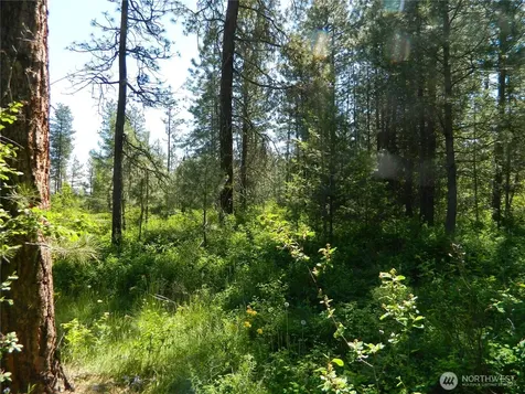 111 Tbd Murphy Ranch Road Tonasket WA 98855