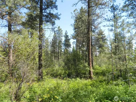 111 Tbd Murphy Ranch Road Tonasket WA 98855