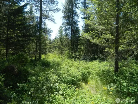 111 Tbd Murphy Ranch Road Tonasket WA 98855