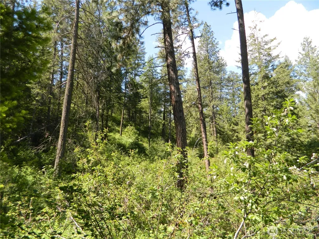 0 Tbd Murphy Ranch Road Tonasket WA 98855