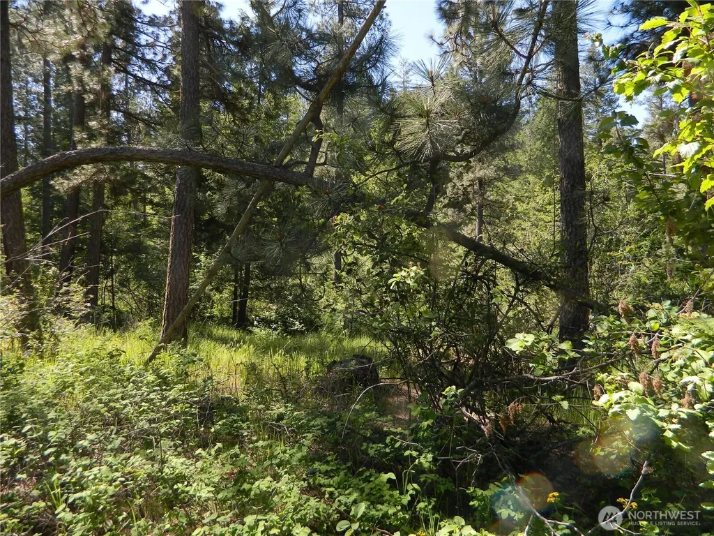 0 Tbd Murphy Ranch Road Tonasket WA 98855