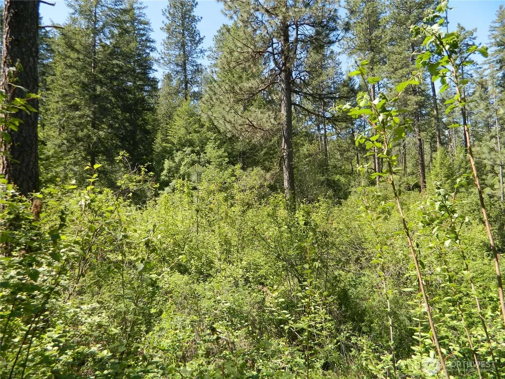 0 Tbd Murphy Ranch Road Tonasket WA 98855