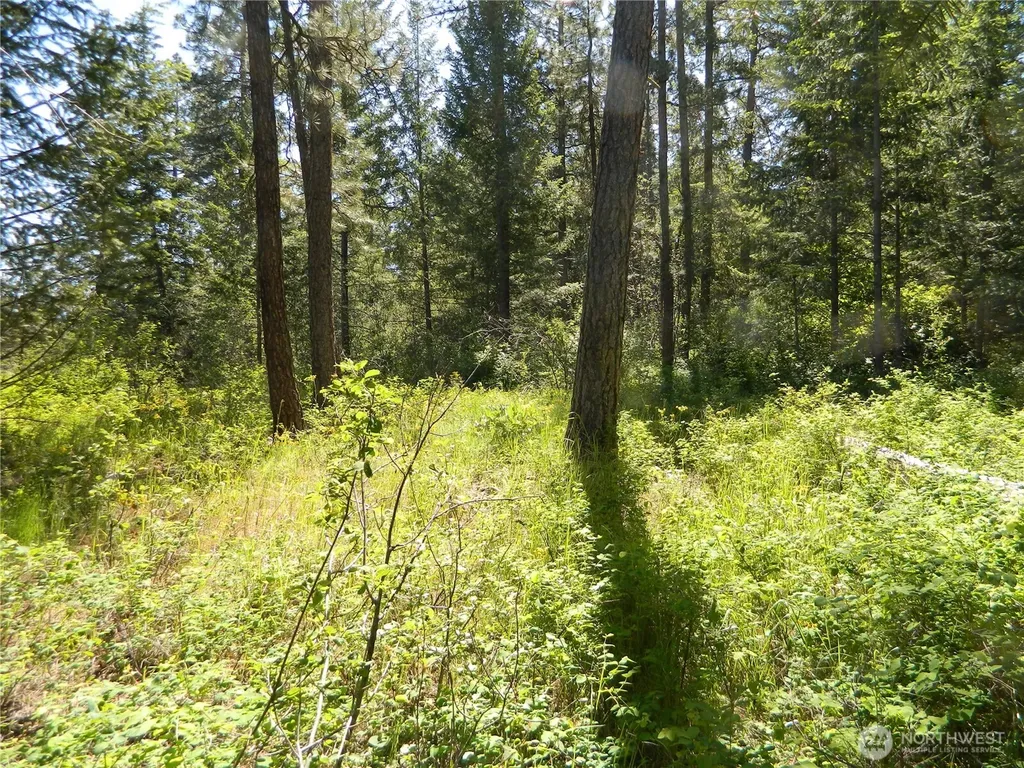 0 Tbd Murphy Ranch Road Tonasket WA 98855