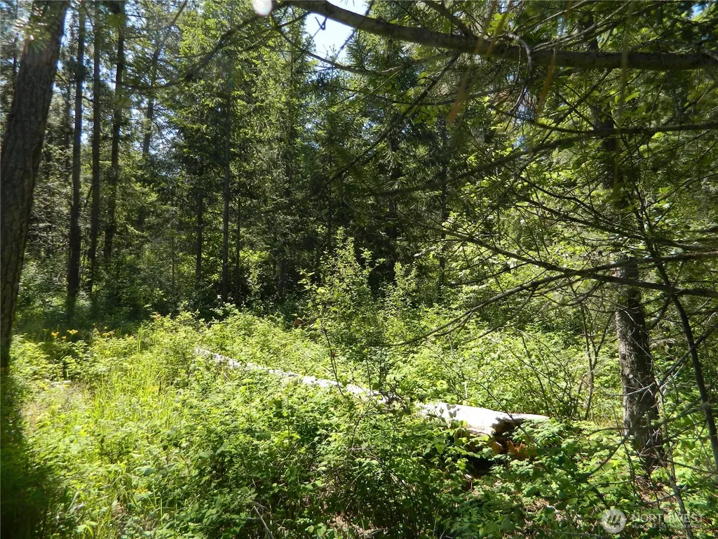 0 Tbd Murphy Ranch Road Tonasket WA 98855