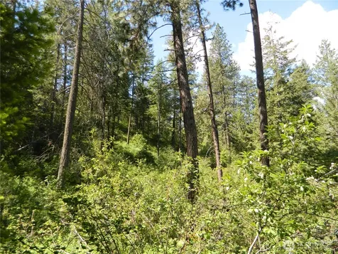 0 Tbd Murphy Ranch Road Tonasket WA 98855