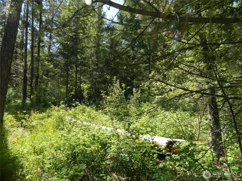 0 Tbd Murphy Ranch Road Tonasket WA 98855