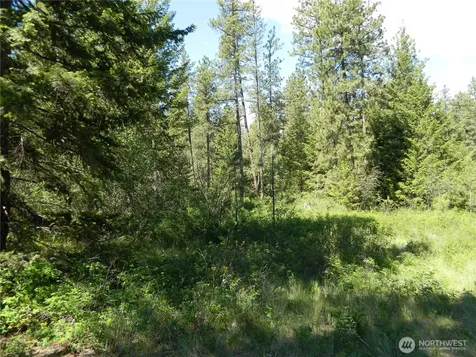 0 Tbd Murphy Ranch Road Tonasket WA 98855