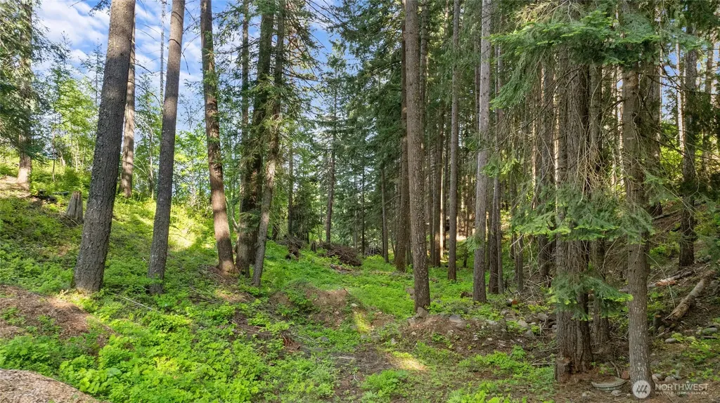 1380 Oakmont Drive Cle Elum WA 98922