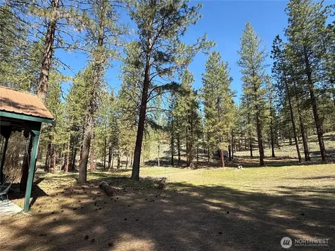 87 Larkspur Drive Winthrop WA 98862