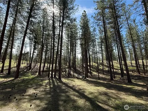 87 Larkspur Drive Winthrop WA 98862