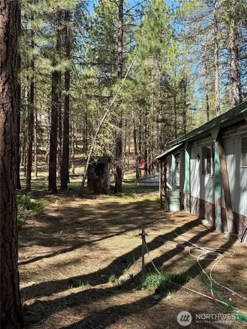 87 Larkspur Drive Winthrop WA 98862