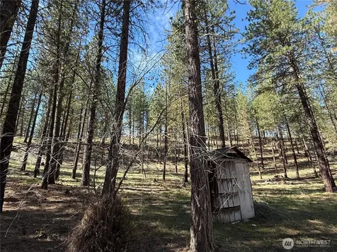 87 Larkspur Drive Winthrop WA 98862