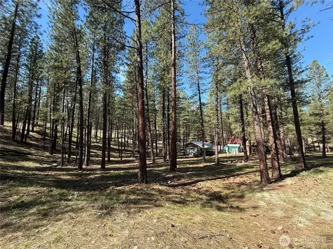 87 Larkspur Drive Winthrop WA 98862