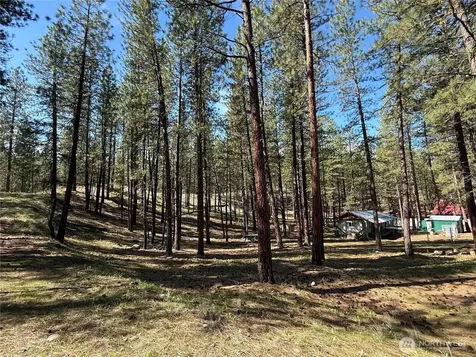 87 Larkspur Drive Winthrop WA 98862