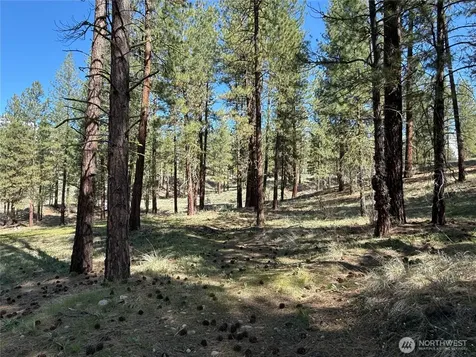 87 Larkspur Drive Winthrop WA 98862
