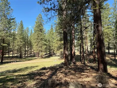87 Larkspur Drive Winthrop WA 98862