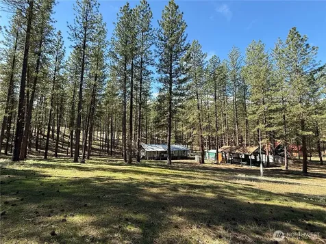 87 Larkspur Drive Winthrop WA 98862