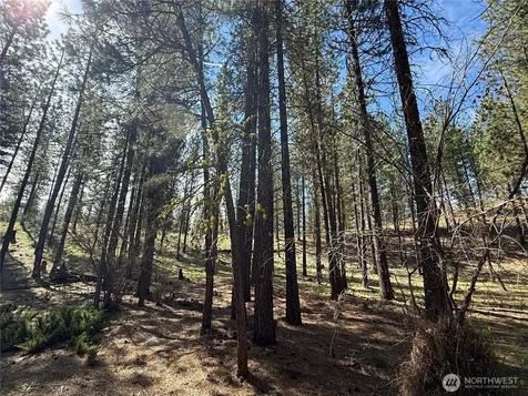 87 Larkspur Drive Winthrop WA 98862