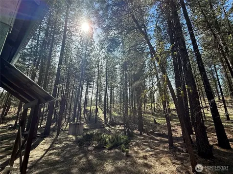 87 Larkspur Drive Winthrop WA 98862