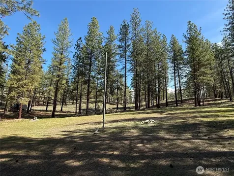 87 Larkspur Drive Winthrop WA 98862