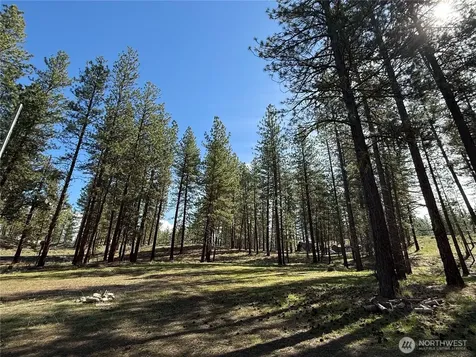 87 Larkspur Drive Winthrop WA 98862
