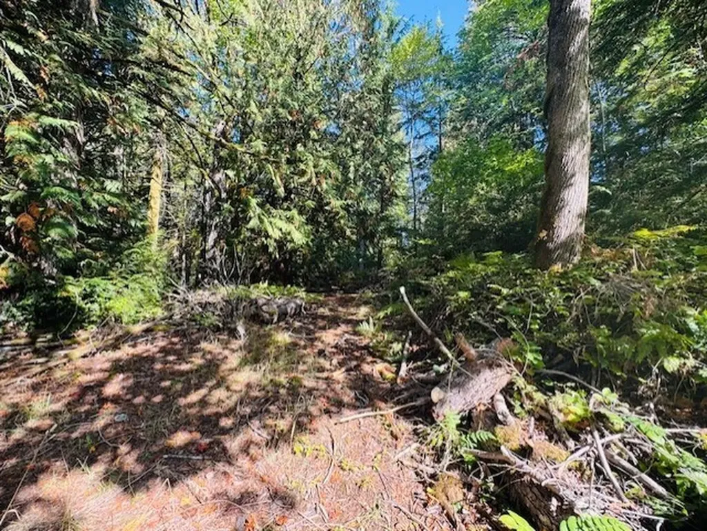 0 E Agate Road Shelton WA 98584