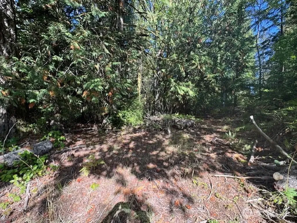 0 E Agate Road Shelton WA 98584