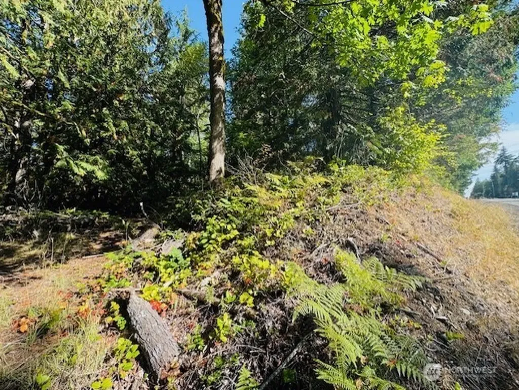 0 E Agate Road Shelton WA 98584