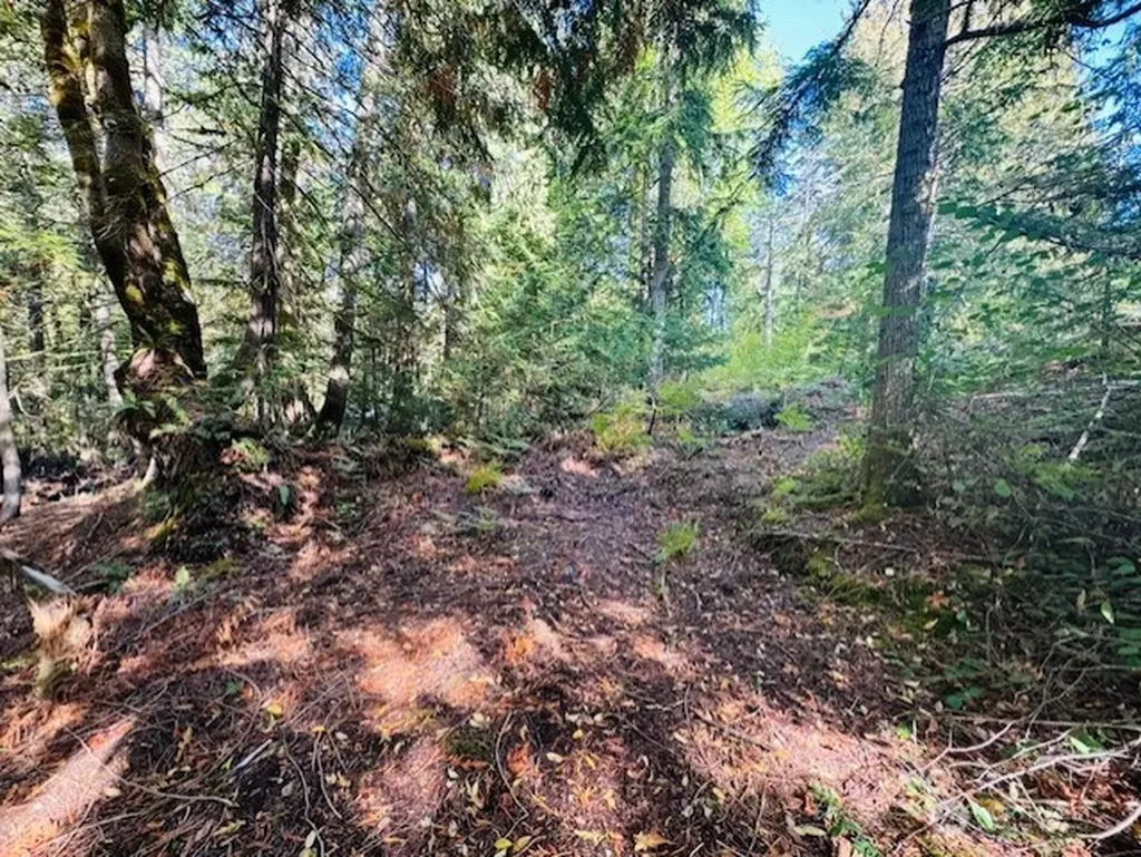 0 E Agate Road Shelton WA 98584