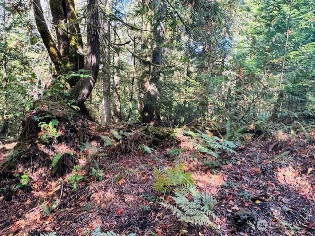0 E Agate Road Shelton WA 98584