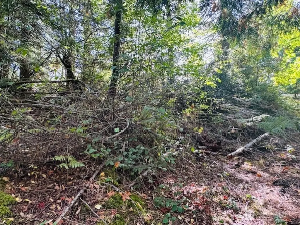 0 E Agate Road Shelton WA 98584