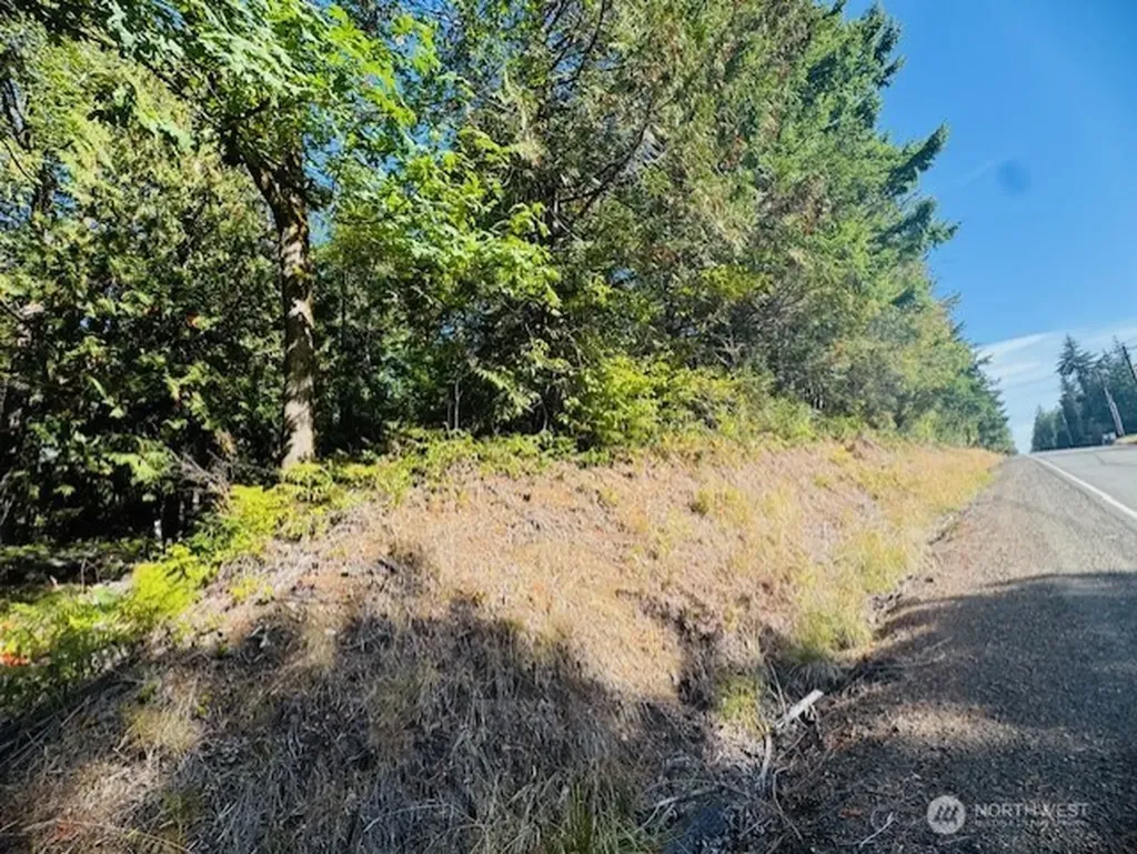 0 E Agate Road Shelton WA 98584
