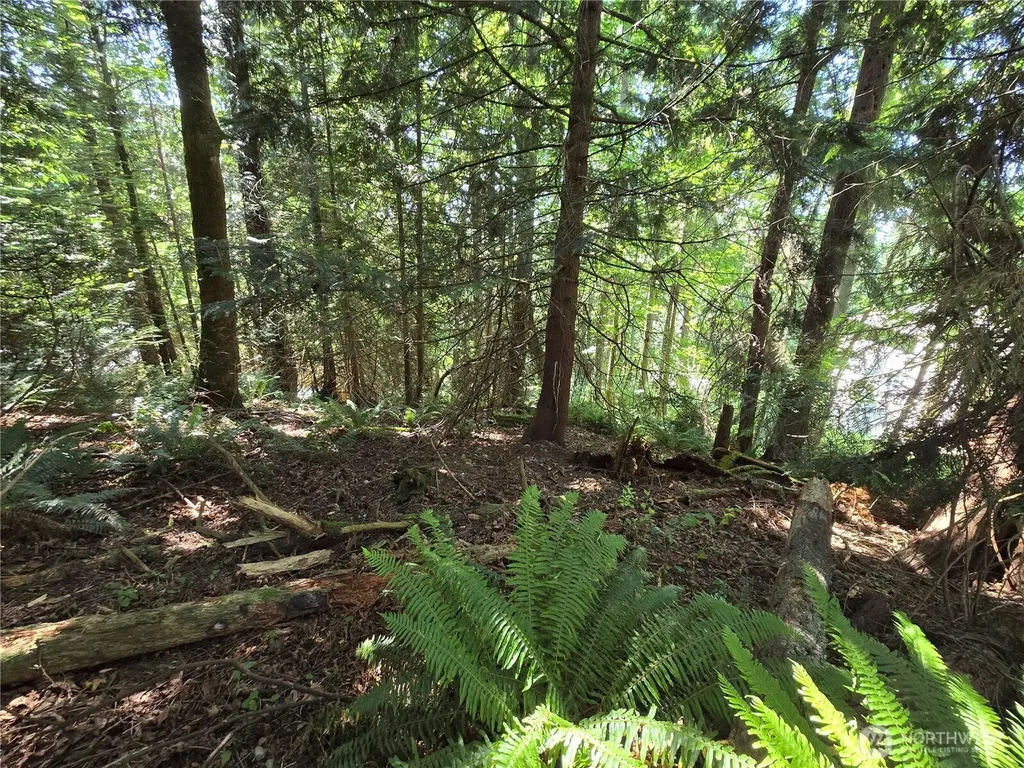 100 210th Avenue NE Sammamish WA 98074
